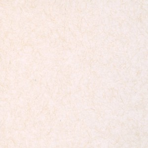 Кожа испуганной феи 41