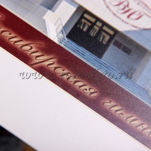 Глянцевая(+378.00 р.)