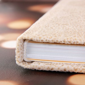 Велюр(+1519.00 р.)