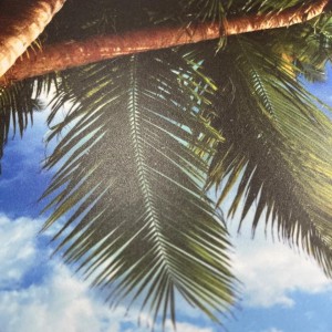 Матовой ламинацией(+506.00 р.)