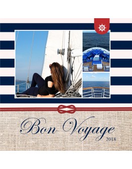 Bon Voyage